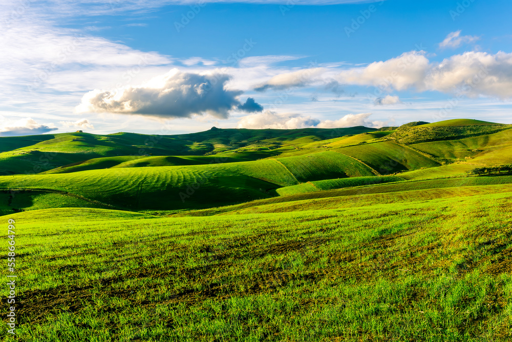 Fototapeta premium valley view in a green shiny field with green grass and golden sun rays, deep blue cloudy sky on a background , green rural hills in spring young season