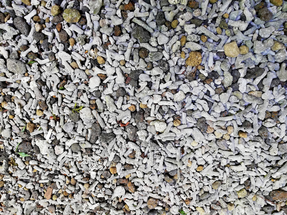 custom made wallpaper toronto digitalNatural stone background in close up