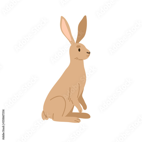 Wild brown hare. Forest animal with long ears. European woods jackrabbit. Cut...