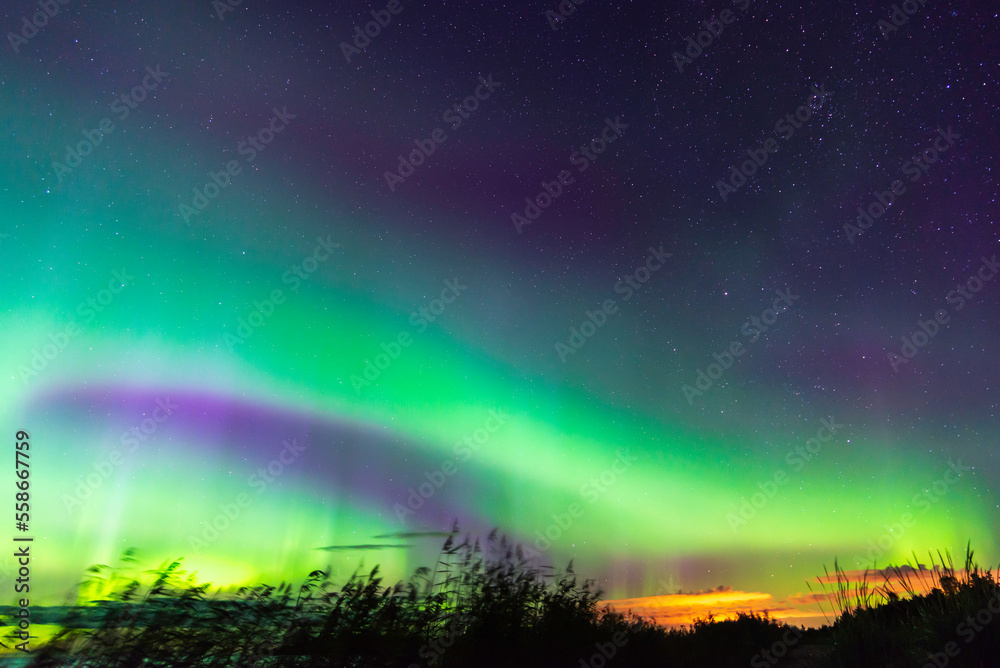 Northern lights, Nykarleby/Uusikaarlepyy. Finland