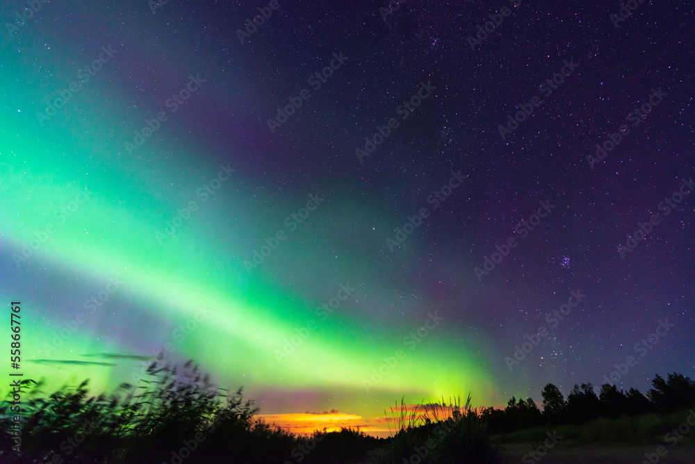 Northern lights over a beach and forest. Nykarleby/Uusikaarlepyy, Finland.