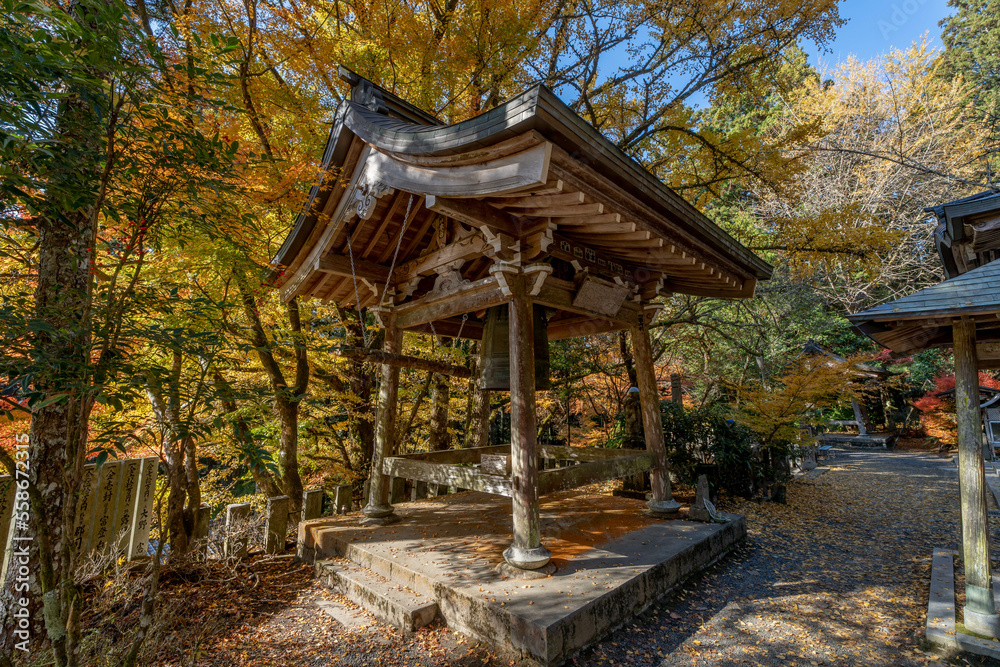 Fototapeta premium 大宝寺