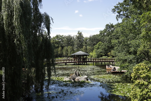 Ogród japoński, widok na staw