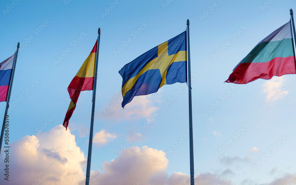 National flags in a row against sunset blue sky with clouds National flags in a row against sunset blue sky with clouds