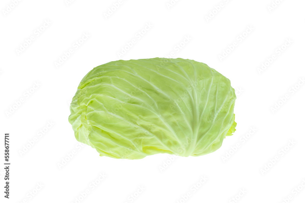 Green Cabbage Green Cabbage