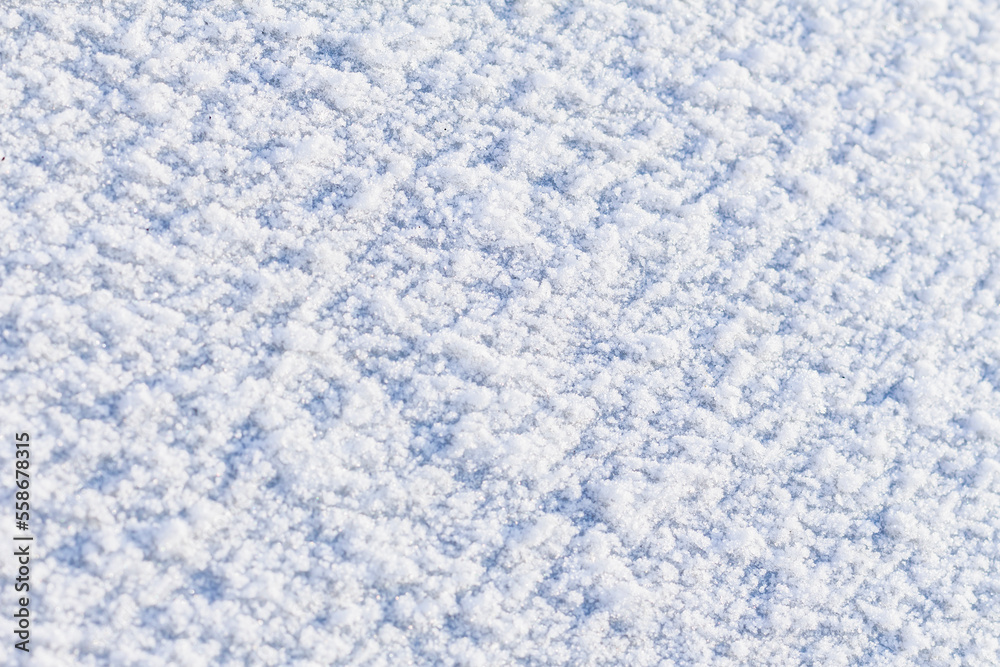 Obraz premium Background of fresh snow texture in blue tone, selective focus, copy space. Fractional snow texture