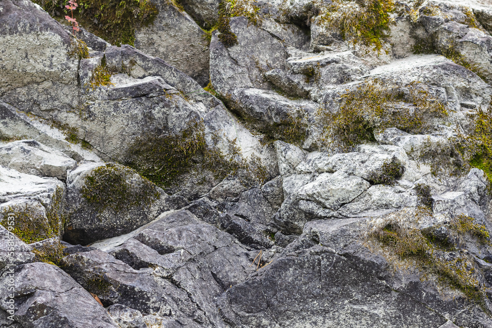 gray rock texture with sparse vegetation, moss in autumn season, abstract stone design, background
