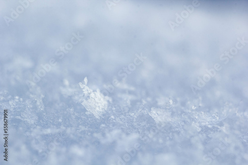 natural snowflakes on snow, photo of real snowflakes. Winter snow background. Snowflake close-up. Macro photo. Copy space.