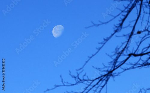 Moon in the blue sky by day