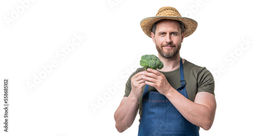 man in apron and hat with broccoli vegetable isolated on white. copy space