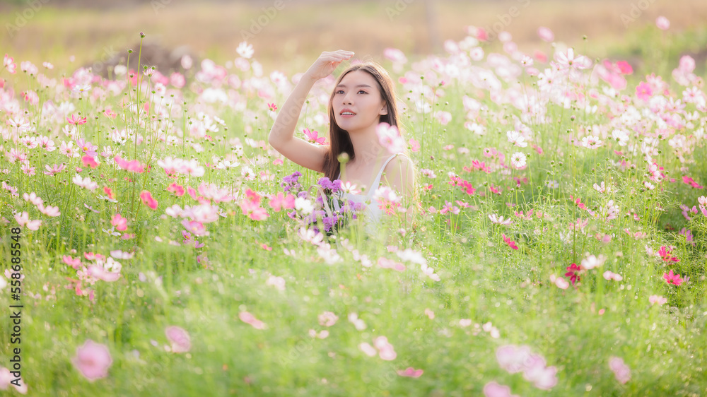 asian woman wearing white dress in the cosmos flowers garden. travel relax on vacation concept. asian woman wearing white dress in the cosmos flowers garden. travel relax on vacation concept.
