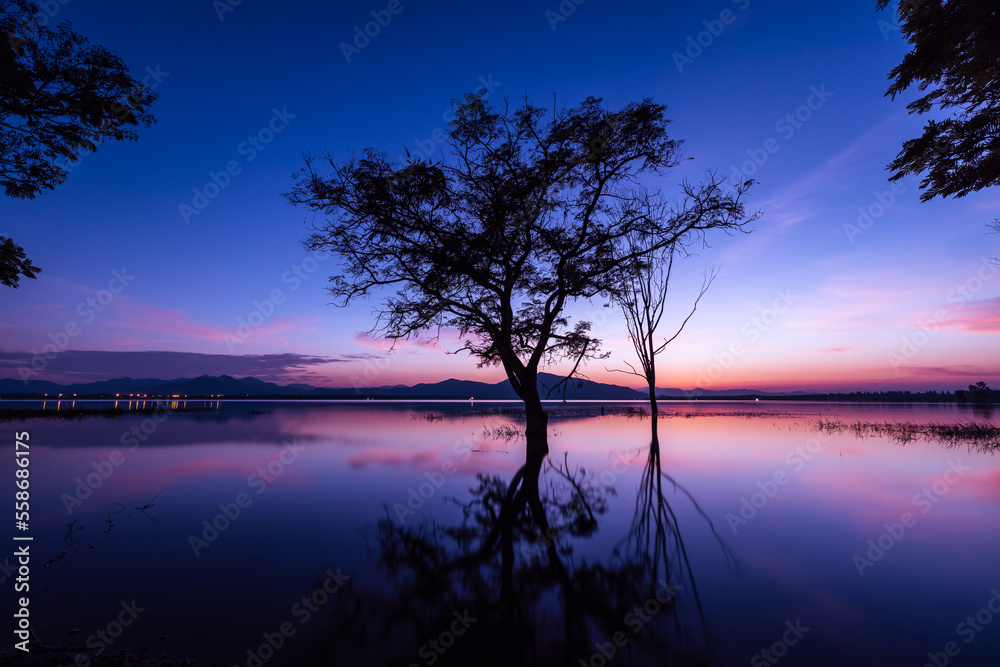 Long exposure shot of silhouetted trees reflected in water and over colorful sunset blue and pink sky background,