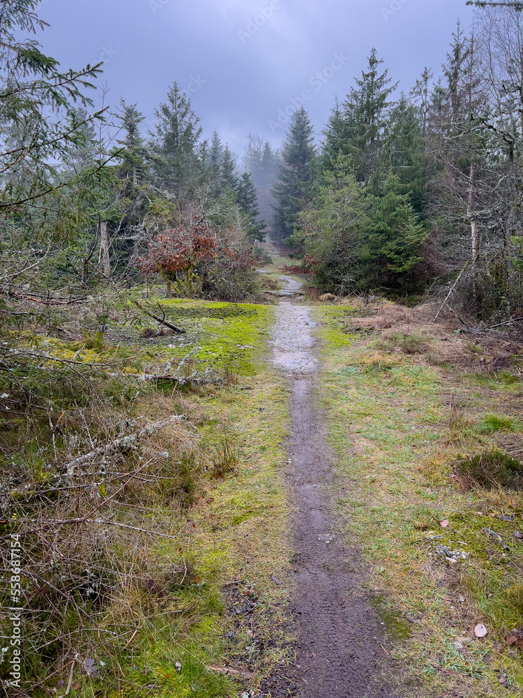 Fototapeta premium Frankreich Felsen Elsass