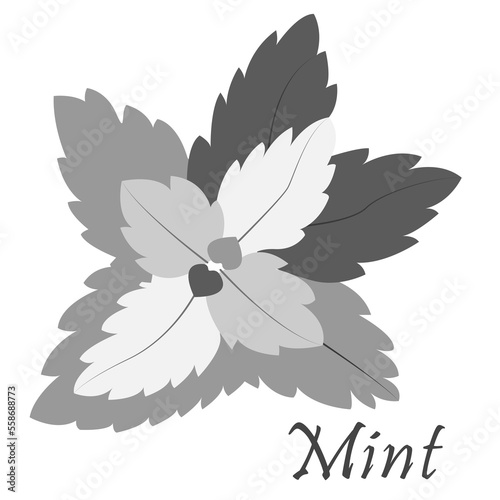 A black and white picture can be used for a mint packaging sticker