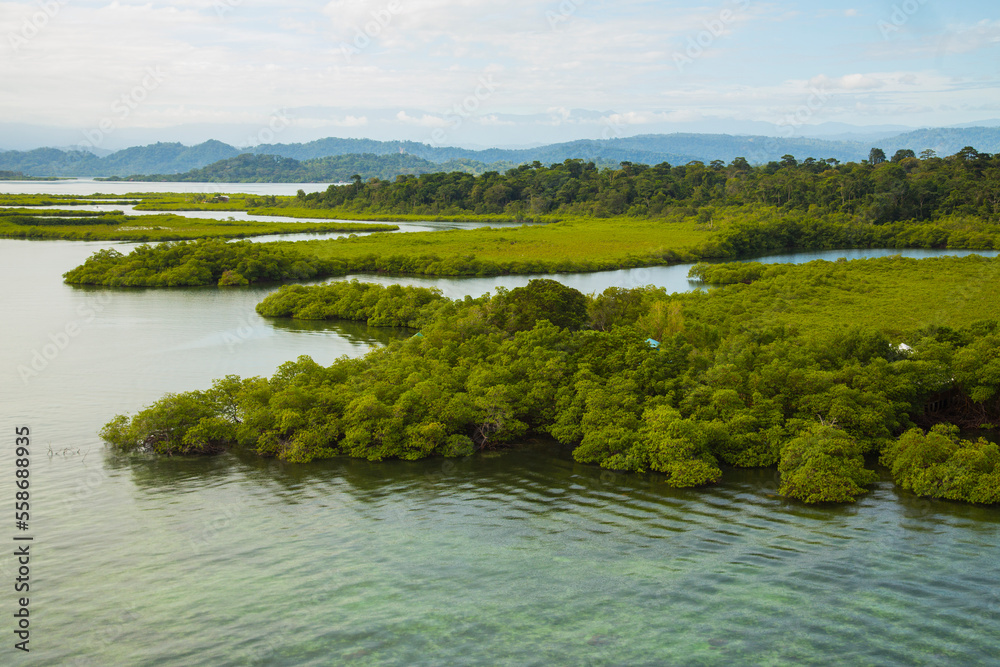 caribbean mangrove islands