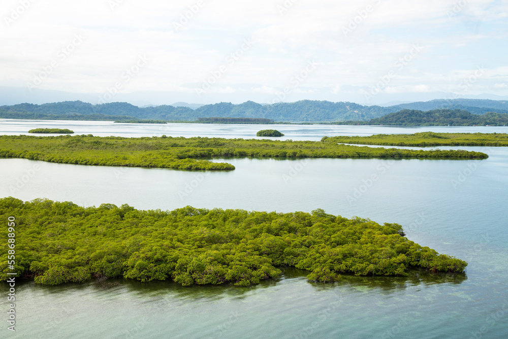 caribbean mangrove islands