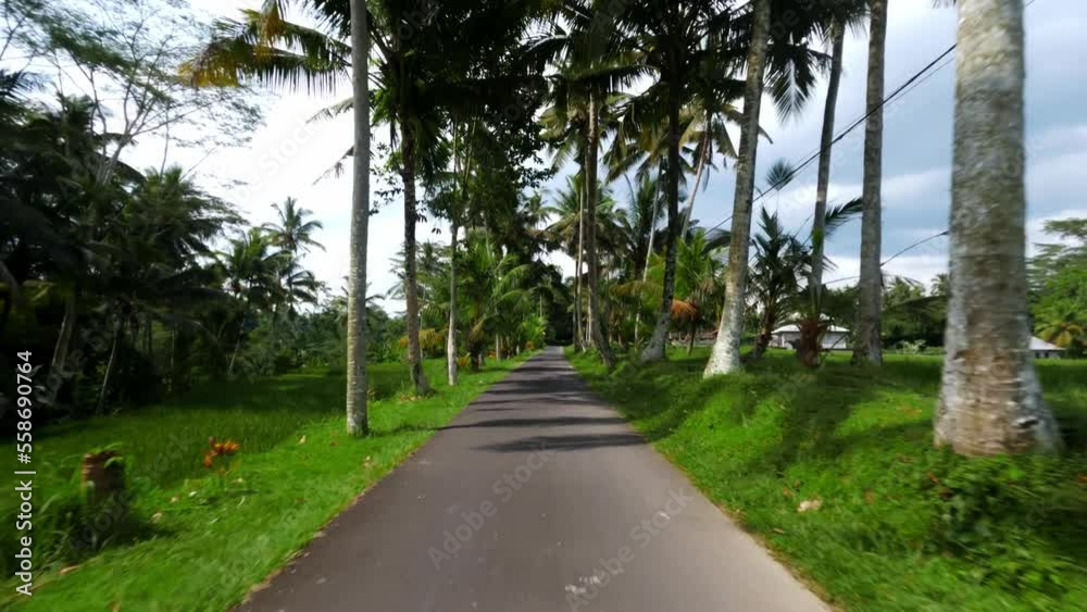 The green nature of Bali with a drone FPV The green nature of Bali with a drone FPV