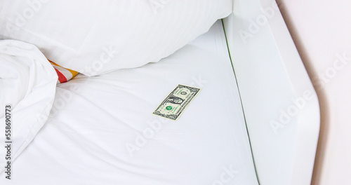 Dollar under the pillow in bed. Selective focus. photo