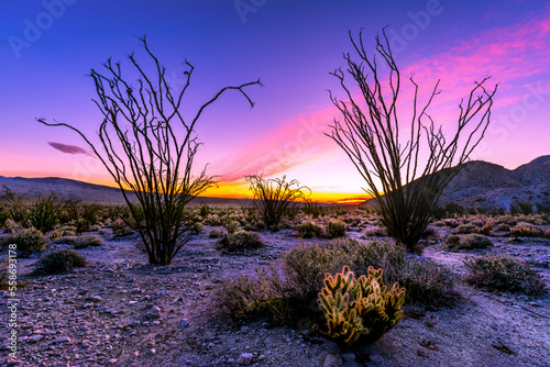 Baja California Mexico photo