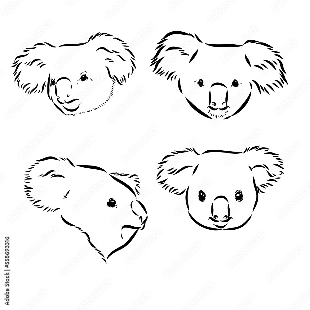 Obraz premium Koala bear animal on tree sketch engraving vector illustration. Scratch board style imitation. Black and white hand drawn image.