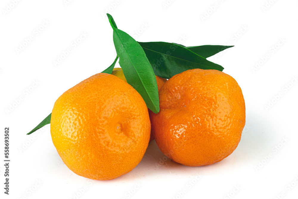 Tangerine fruit with green leaf isolated on white background high quality details Tangerine fruit with green leaf isolated on white background high quality details