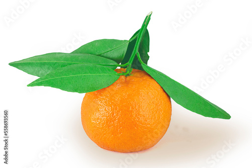 Tangerine fruit with green leaf isolated on white background high quality details