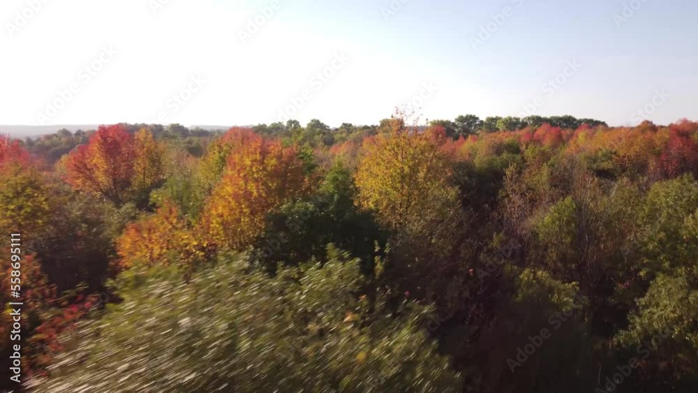 autumn landscape in the mountains. autumn in the mountains. autumn landscape with trees. autumn in the forest autumn landscape in the mountains. autumn in the mountains. autumn landscape with trees. autumn in the forest