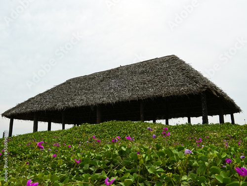 a big wooden hut