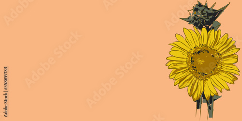 sunflower floral vector for backgrounds, covers and graphic works