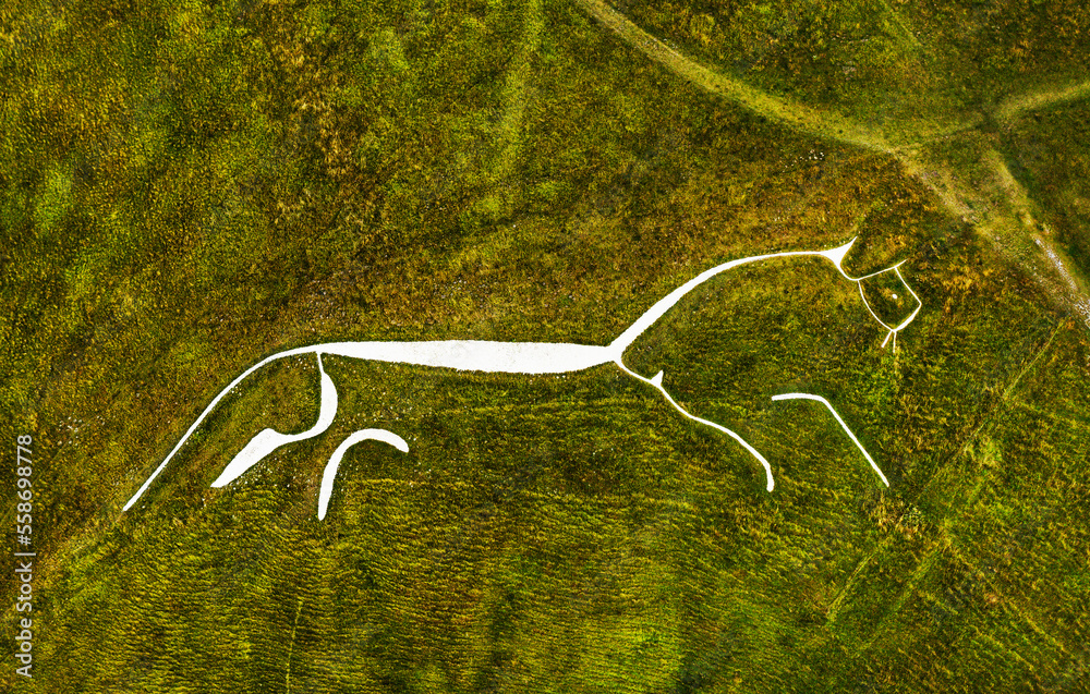 Uffington White Horse. 3500 year prehistoric chalk figure carved into a chalk hillside of the Berkshire Downs, England. 110 meters long