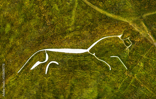 Obraz na płótnie Uffington White Horse. 3500 year prehistoric chalk figure carved into a chalk hillside of the Berkshire Downs, England. 110 meters long w salonie