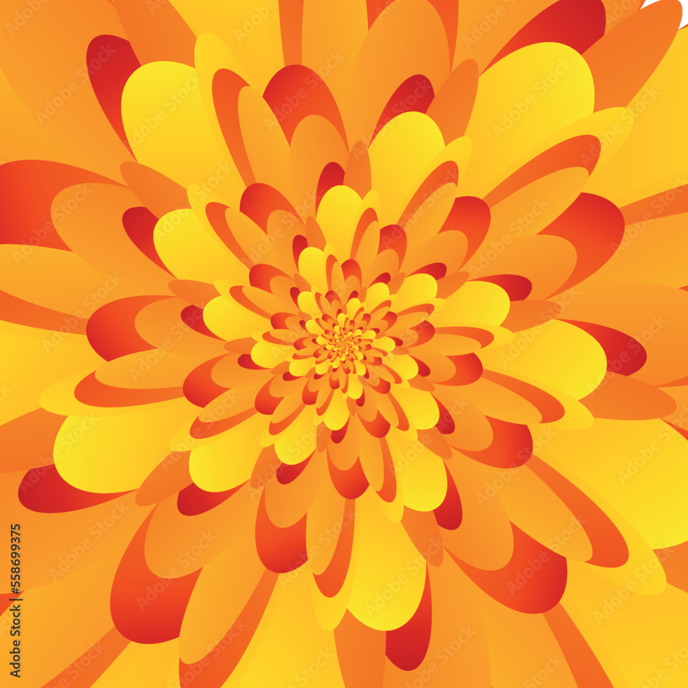 Beautiful abstract square pattern, illustration of an unusual flower with numerous gradient sharp orange-yellow petals that are layered on top of each other. Spiral effect. 