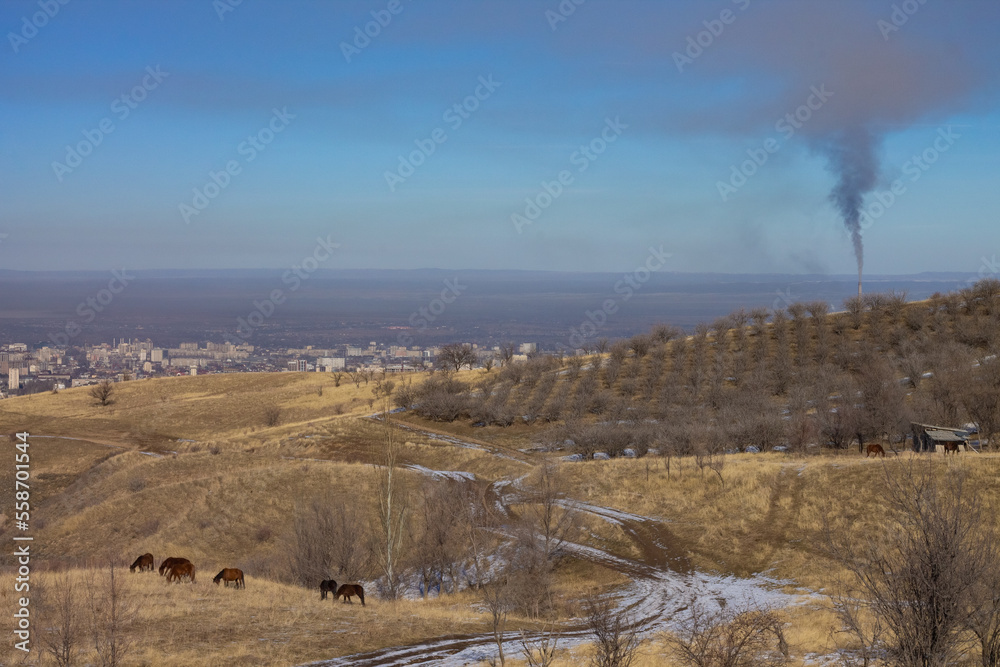horses eats dry grass on a slightly snowy hill, there is thick smoke in the sky