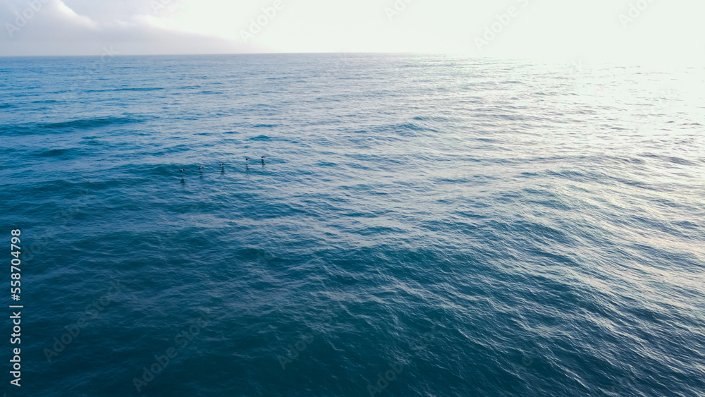 Fototapeta premium water surface