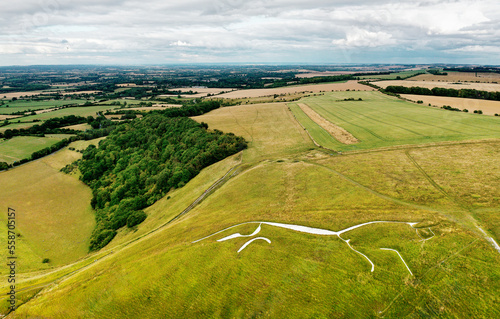 Obraz na płótnie Uffington White Horse. 3500 year prehistoric chalk figure carved into a chalk hillside of the Berkshire Downs, England. 110 meters long. Looking east w salonie