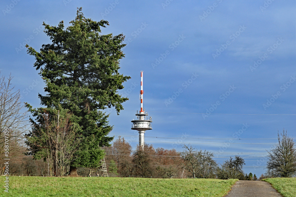 Obraz premium Funkturm bei Karlsruhe