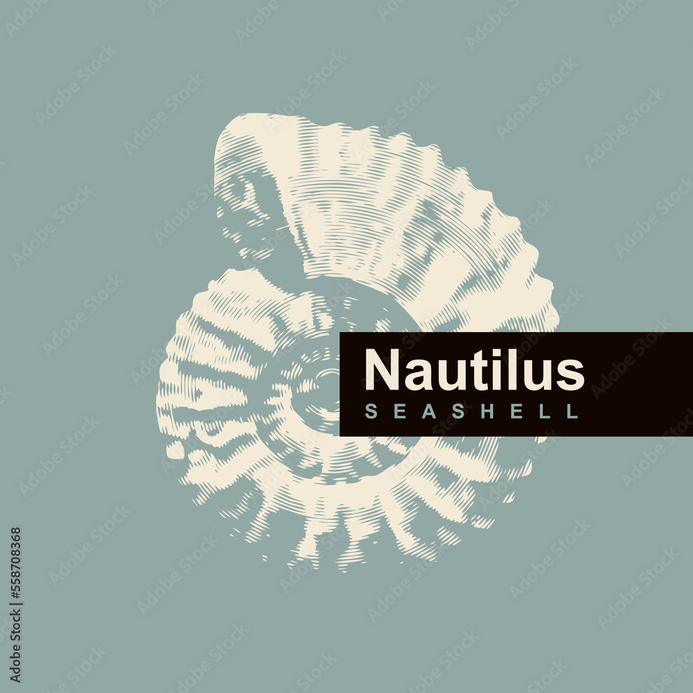 vector logo sign with drawing of ancient petrified ammonite shells or