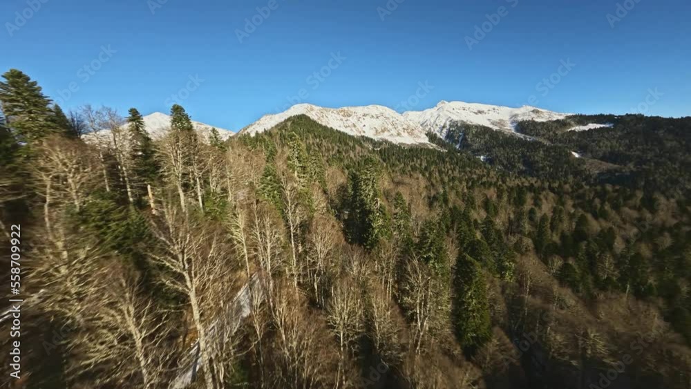 Forest winter valley fir spruce trees surrounded by snowy mountain peaks picturesque panorama aerial view. FPV sport drone cruising low shot sunny pine woodland frozen cliff hilly terrain wild scenery Forest winter valley fir spruce trees surrounded by snowy mountain peaks picturesque panorama aerial view. FPV sport drone cruising low shot sunny pine woodland frozen cliff hilly terrain wild scenery