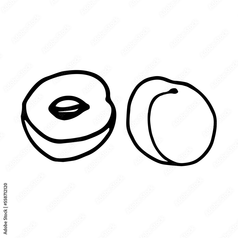 Fototapeta premium Peach set doodle style vector illustration isolated on white