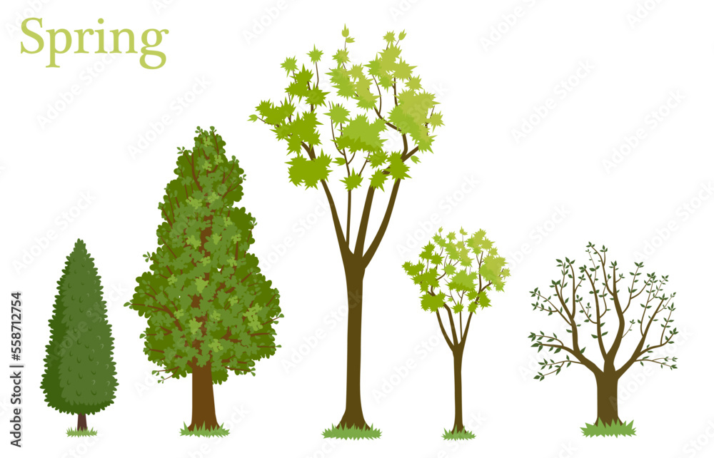 Obraz premium An illustrated set of trees in spring