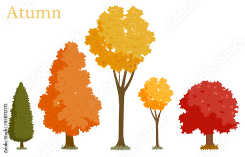 An illustrated set of trees in autumn