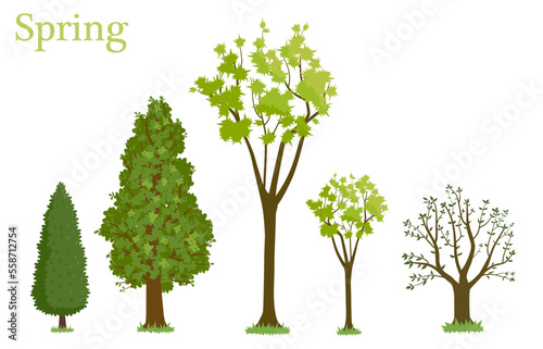 An illustrated set of trees in spring