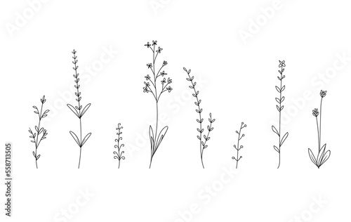 hand drawn outline botanical and floral and leaves line art vector art simple modern style wedding invitation backgrounds and frames, social media stories wallpapers vintage logo stock