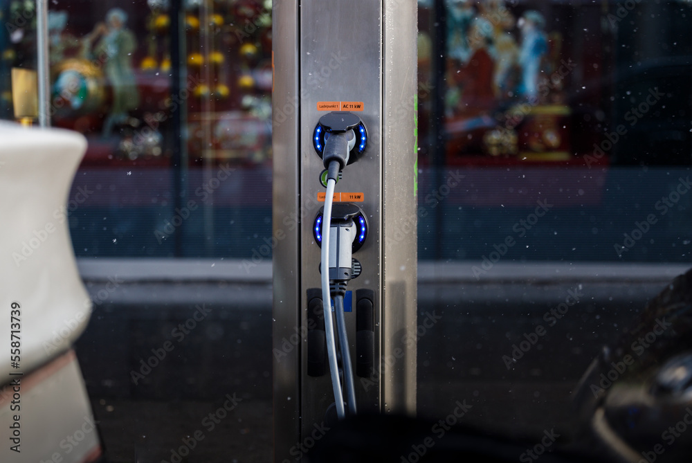 Electric Vehicle Charging Station (EV Station)
Electric Vehicle Charging Station (EV Station)