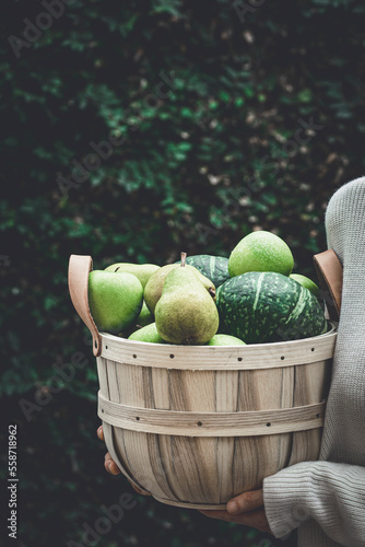 Autumn Produce in a basket being carried by a woman. Copy space.