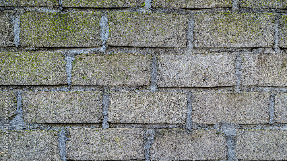 Obraz premium Concrete cement wall texture, Sturdy wall background.