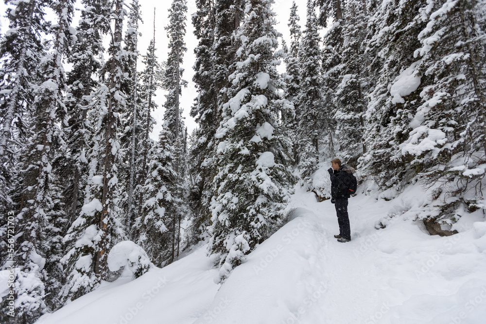 Banff Winter Landscape and Hiker