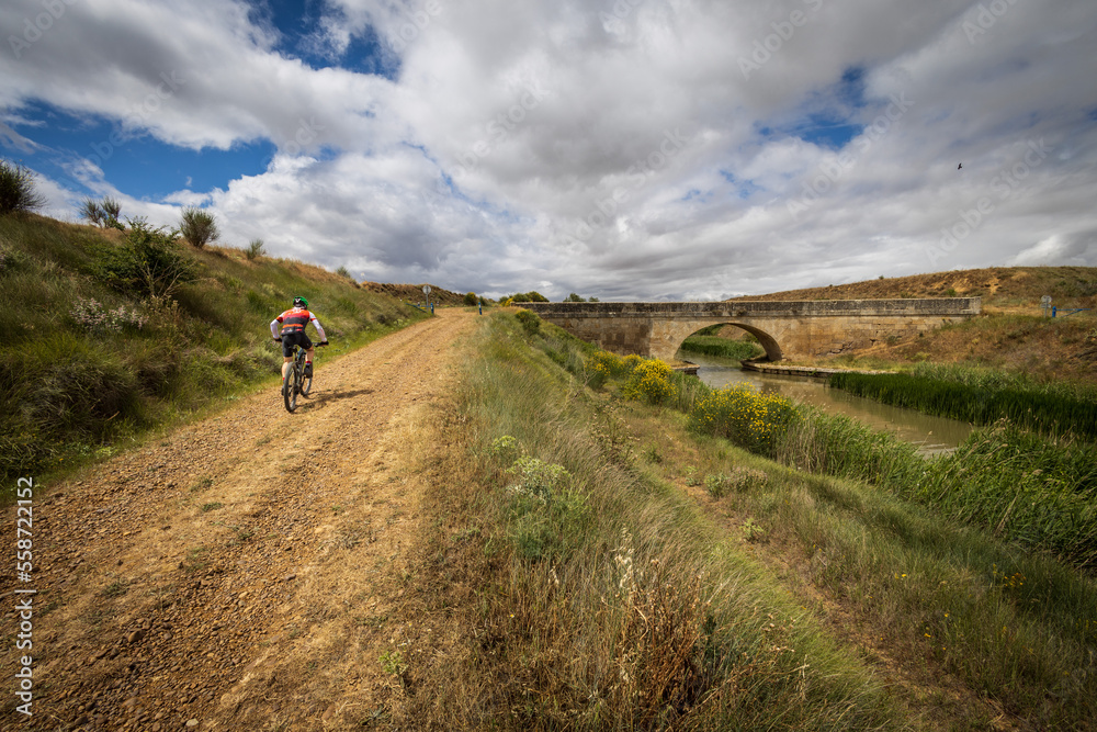 Making a bicycle route through the paths of the Canal de Castilla in Palencia