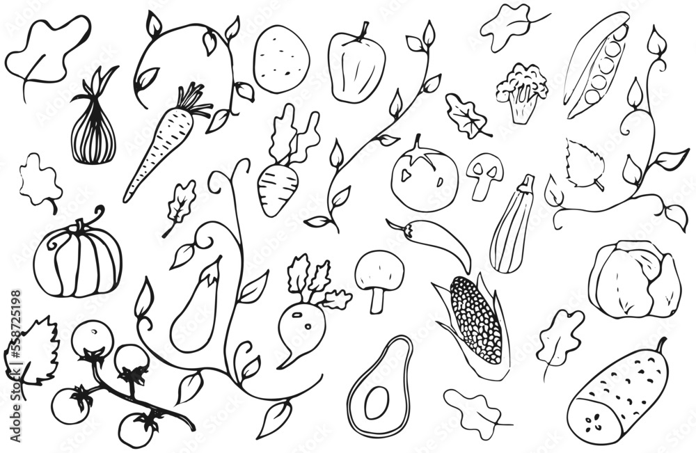 Set of vegetables in doodle art style, hand-drawn in black outline, without coloring. Vector illustration, isolated on white background Set of vegetables in doodle art style, hand-drawn in black outline, without coloring. Vector illustration, isolated on white background