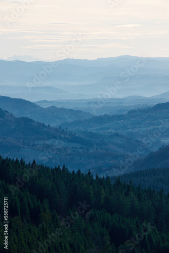 forest mountains in the fog © Alex